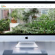 E-Commerce und Webdesign für Blumen Nicolaye